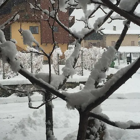 La Vigne De Papagran