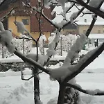 La Vigne De Papagran